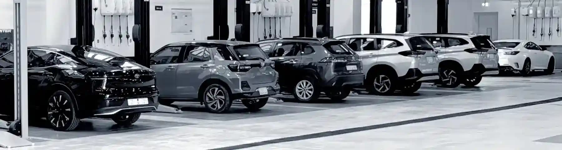 نصائح حسن جميل